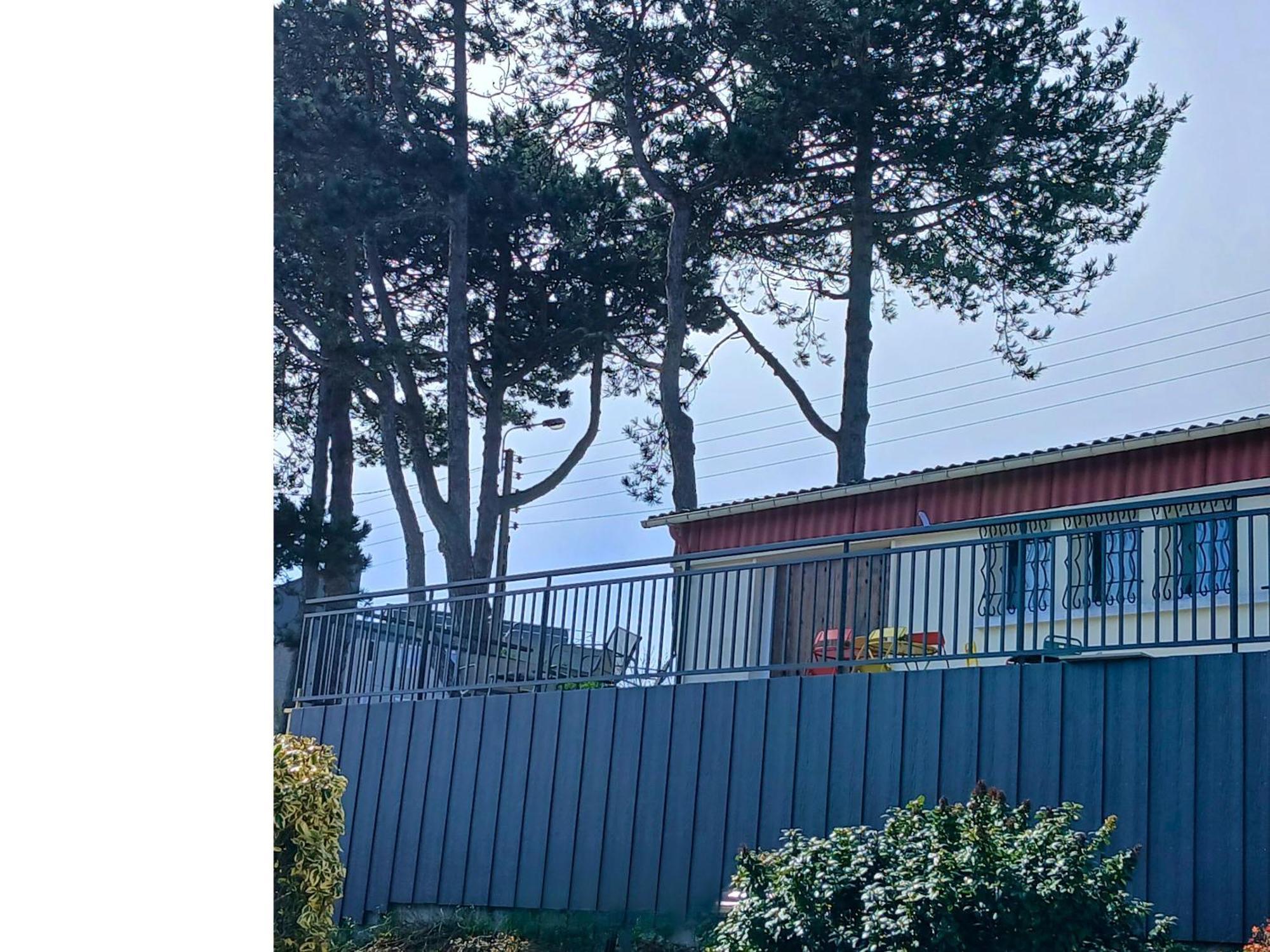 Le Domaine Des Pins - Maison 2 Chambres Vue Mer 勒特雷波尔 外观 照片